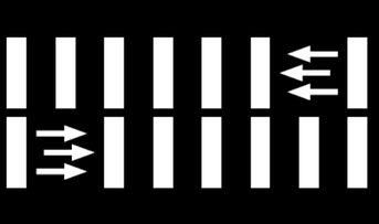 Zebras linija